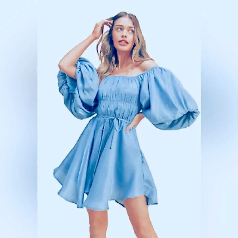 NWT &Merci Elegant Puff Sleeve Blue Dress